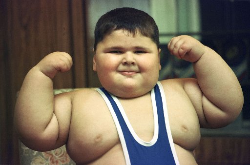 http://www.weight-loss-trust.com/wp-content/uploads/2009/10/causes-of-childhood-obesity.jpg