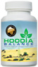 Hoodia Balance