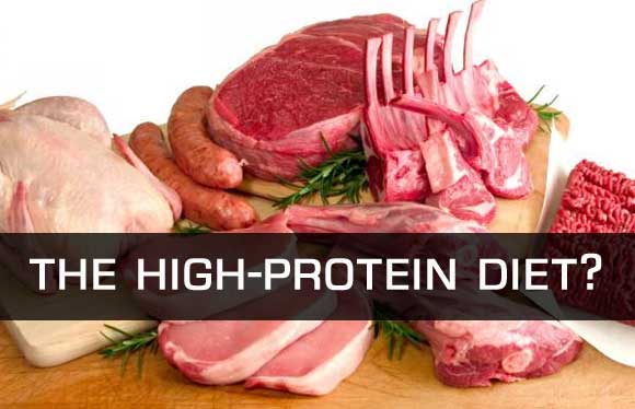 High protein diet for muscle building