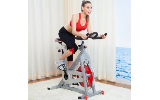 Spinning Sunny Health & Fitness Pro Indoor Cycling Bike Unmatched Way To Lose Weight