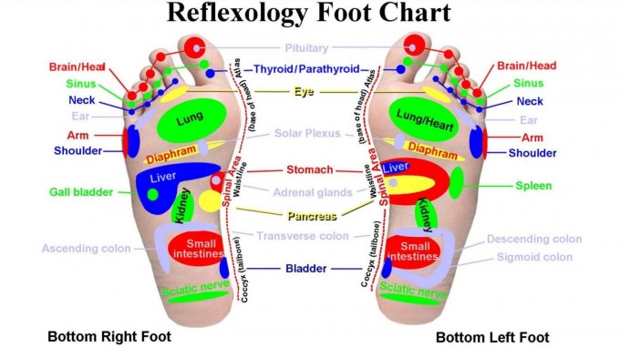 Reflexology explained Refexology points zones on Foot