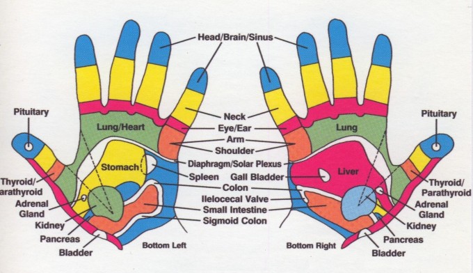 Reflexology explained Refexology points zones on Hands