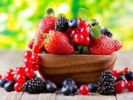 Resveratrol in fruit helps lose weight