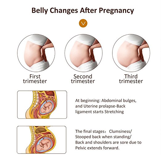 Belly Changes After Pregnancy