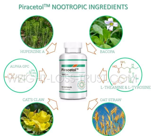 Piracetol Nootropic Ingredients