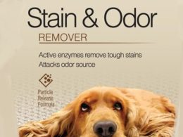 Best Pet Stain and Odor Removers