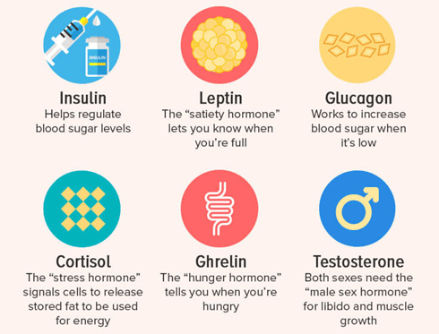 Why I'm not losing weight on diet - Link to Hormones